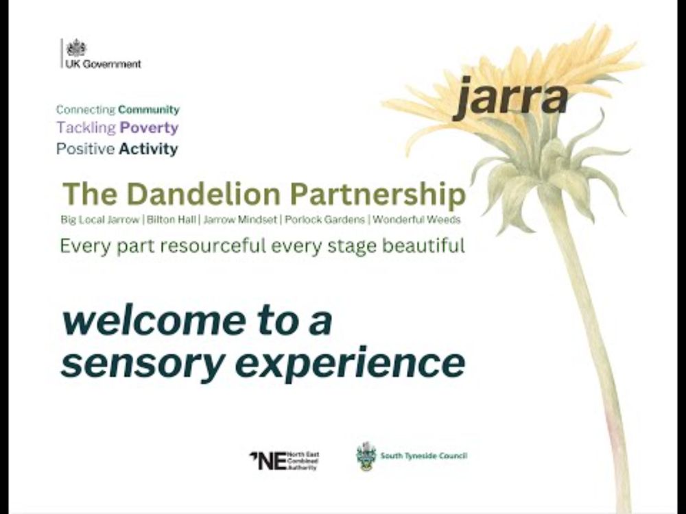 Bents Park Dandelion Partnership