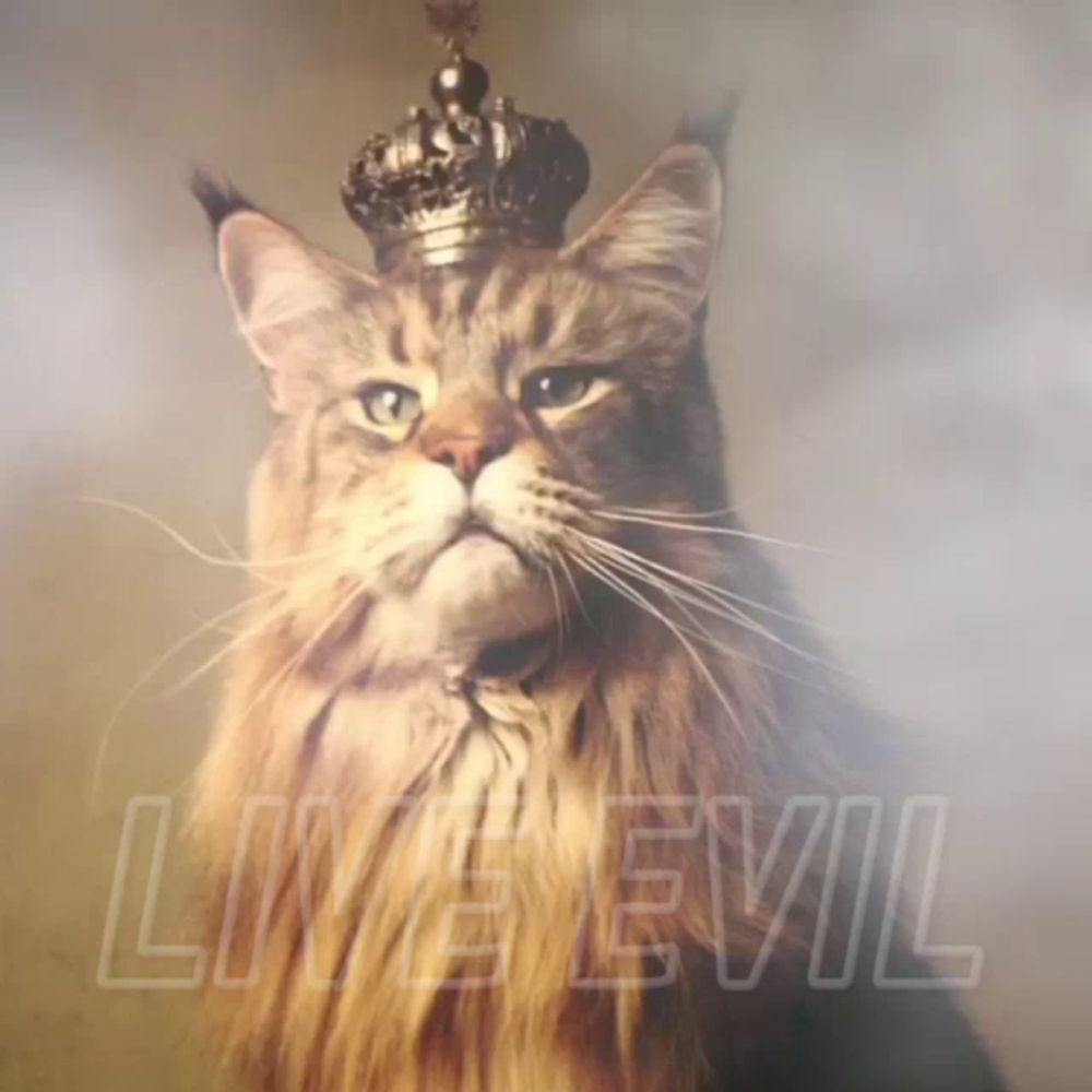 a cat with a crown on its head and the word live evil written below it