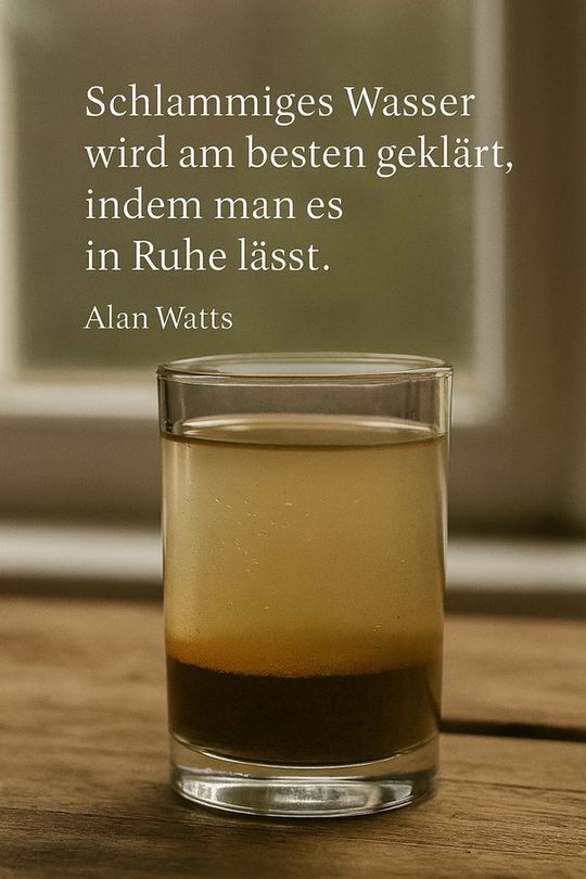 Zitat:
„Schlammiges Wasser wird am besten geklärt, indem man es in Ruhe lässt.“
— Alan Watts
