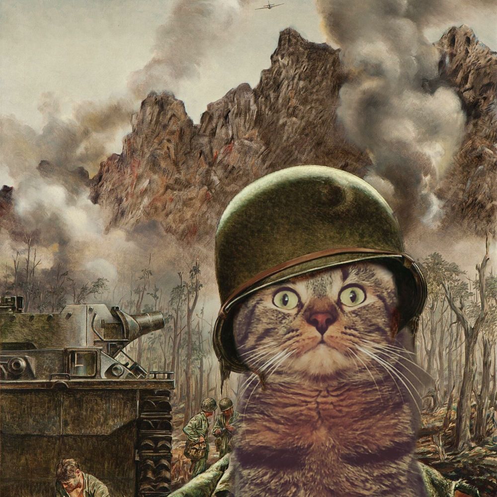 The Two-Thousand Yard Meow 