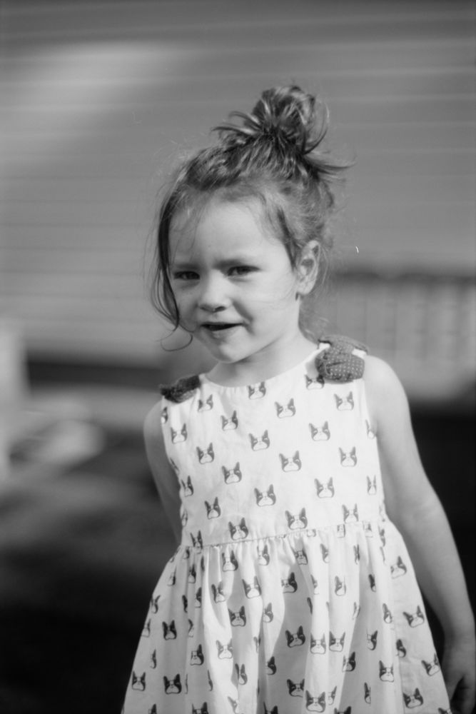 Orthochromatic portrait of a ginger

Exposed on FPP Yeti (ISO 6, orthochromatic) using a Minolta SRT-101 + 58/1.4 lens; developed in HC-110H for 15 min @ 68˚F.

#filmphotographyproject #fppyeti35mm #minolta #minoltasrt101 #filmphotography