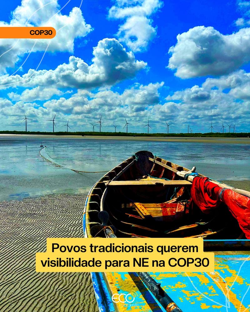 Card sobre a foto de uma canoa de madeira colorida, com partes azuis descascadas e um pano vermelho, parada sobre a areia úmida em maré baixa. Ao fundo, vê-se água rasa refletindo o céu azul com nuvens brancas e, na linha do horizonte, vários aerogeradores de energia eólica. Linhas finas orgânicas simulam folhas nos cantos superior esquerdo e inferior direito. Numa tarja laranja com letras pretas no canto superior esquerdo, lê-se 'COP30'. Noutra tarja amarela com letras pretas centralizada na base da imagem, 'Povos tradicionais querem visibilidade na COP30'. Abaixo a logo ECO nordeste em tons de branco e verde