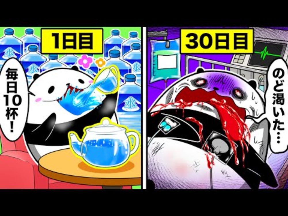 白湯を毎日飲み続けるとどうなるのか？【アニメ】