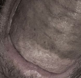 Sucking my buddies dick after getting drunk as a skunk!