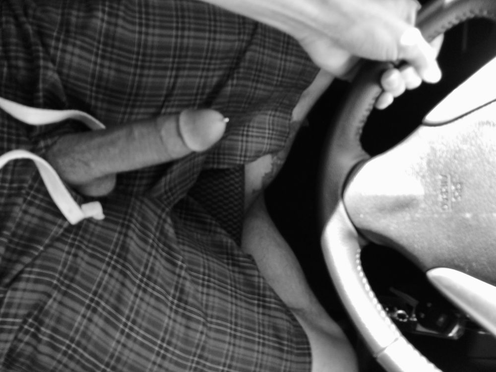 Close-up of a my exposed pierced penis inside a vehicle, with a steering wheel visible in the background.

#NSFW #pierced #pierceddick #penis #piercedcock #pa #princealbert #papiercing #frenum #naked #dick #dickpiercings #cockpiercings #fkk #bate #bator #edge #edging #cock #bigdick #harddick #edgeallday  #fatcock #onyourknees #masturbating #masturbator #masturbators #masturbate #wanker #wanking #jerkingoff #jackingoff #boner #cock #dick #dong #stroking #SexPositivity #bigdickboy #hung #hairy #cut #NSFW #horny #StonerLife #GayVibes #FitGayStoner  #stoner #gaystoner #stonerbator #stonerboner #420 #DaddyOtterWolf #daddy #wolf #gaywolf #otter #monday #mcm #monochromemonday