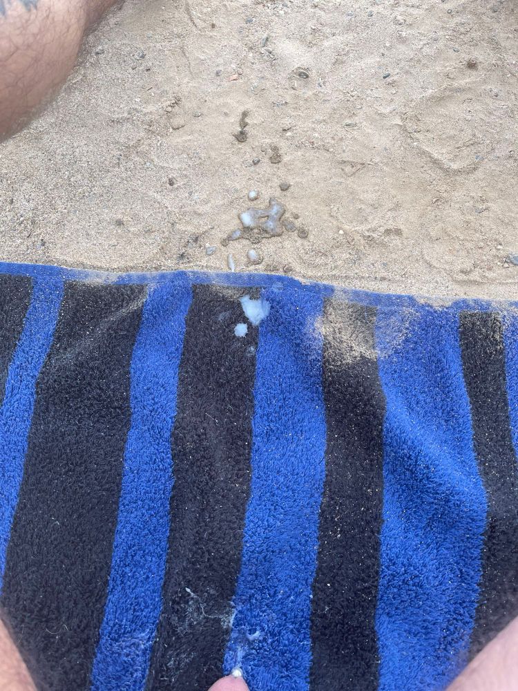 Black & Blue striped towel on the sand at a nude beach, the very tip of my pierced dick is showing at the bottom but there’s a load of cum splattered across the towel and some on the sand 

#NSFW #pierced #pierceddick #penis #piercedcock #pa #princealbert #papiercing #frenum #naked #dick #dickpiercings #cockpiercings #fkk #bate #bator #edge #edging #cock #bigdick #harddick #edgeallday #masturbating #masturbator #masturbators #masturbate #wanker #wanking #jerkingoff #jackingoff #boner #cock #dick #dong #nudesunbath #stroking #SexPositivity #bigdickboy #hung #piercednudist #hairy #cut #thursday #tbt #NSFW #horny #nudebeach #cum #cumload #cummingoutdoors #CumOnTheSand #gaycum  #cumshot #exhib #publicboner #PublicDick #exhibitioninst #birthday #birthdaysuit #april #aprilbaby #aries #WildThursday