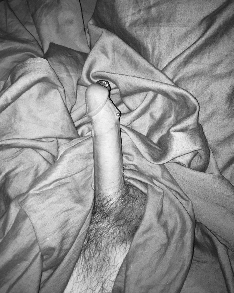 Me in bed view of pierced dick poking out of bed sheet

#pierced #pierceddick #penis #piercedcock #pa #princealbert #papiercing #frenum #naked #dickpiercings #cockpiercings #fkk #bate #bator #edge #edging #bigdick #harddick #edgeallday #bigdickboy #hung #piercednudist #hairy #morningwood #monday #mcm #cut 
