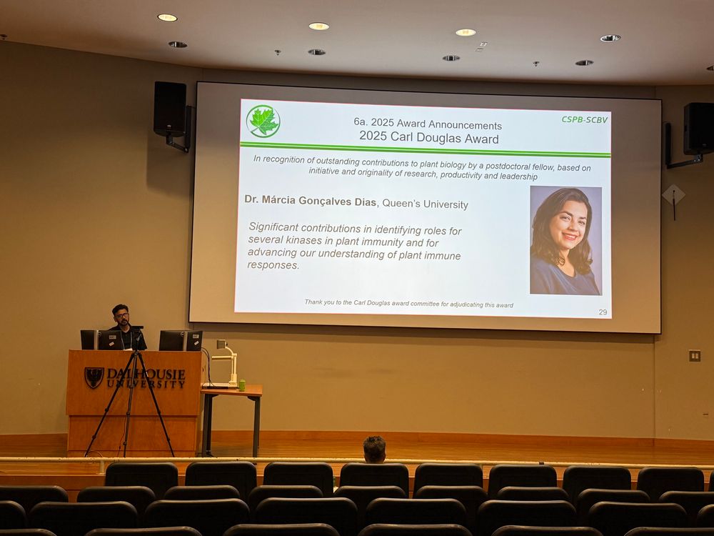 Postdoc award 