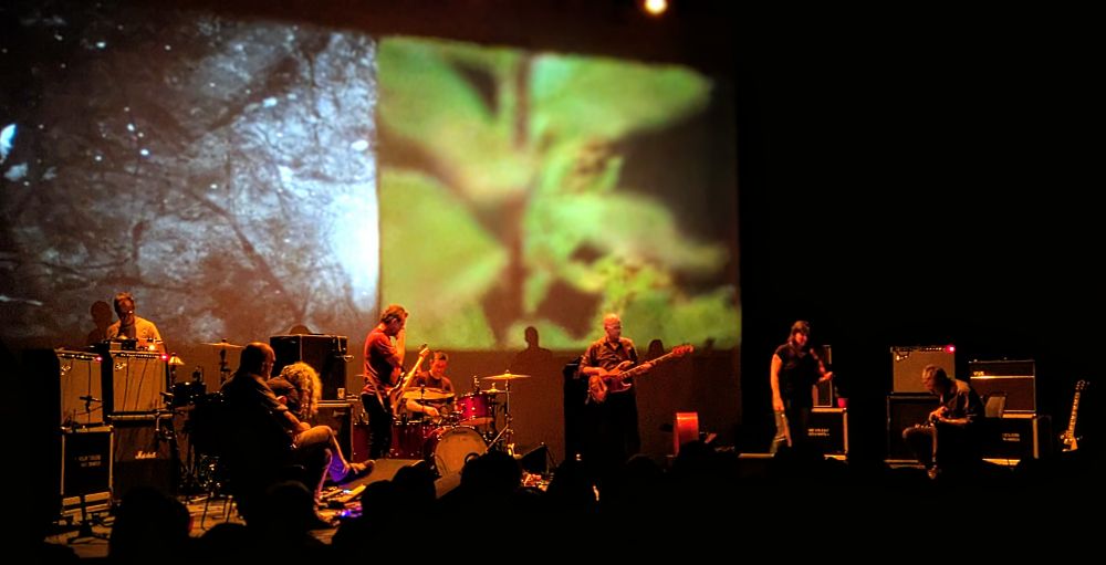 The band playing live