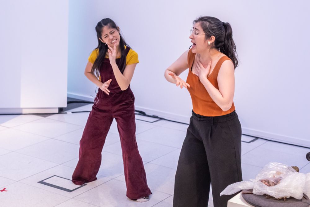 Stephanie and Yuki performing Speaking Towards One Another at InSpace. 