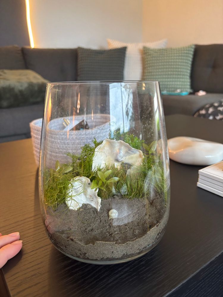 A case with sand, dirt, and aquatic plants. 