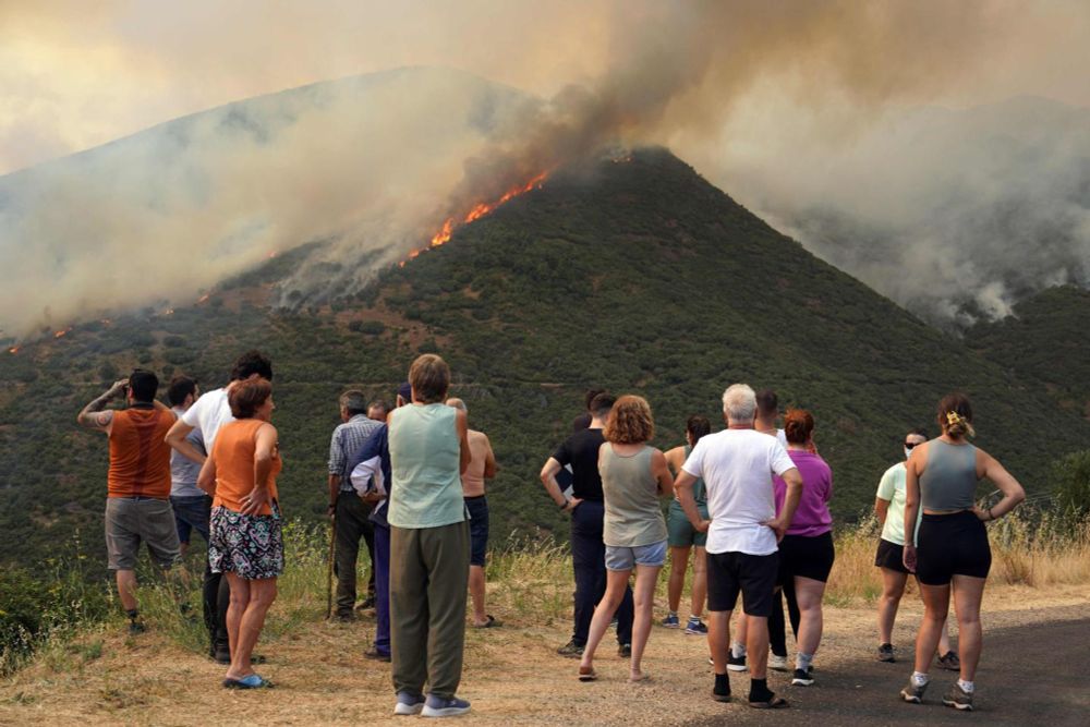 Près de 350 000 hectares de végétation ont brûlé en Espagne depuis le 7 août, un record. La province de Léon, où trois personnes sont mortes, est la plus touchée, avec près de 70 000 hectares calcinés...