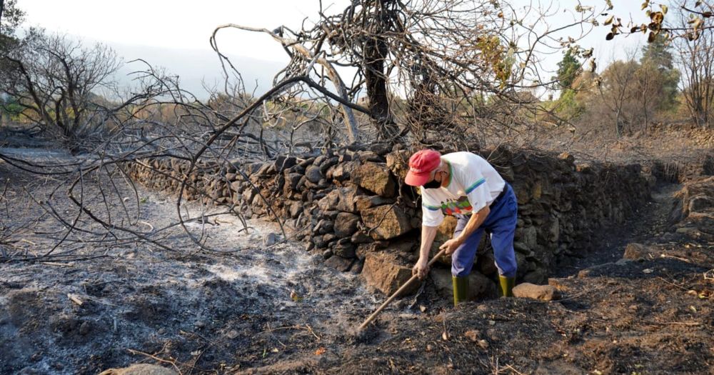The area burned this year has exceeded the 1 million hectare mark for the first time since records started in 2006.