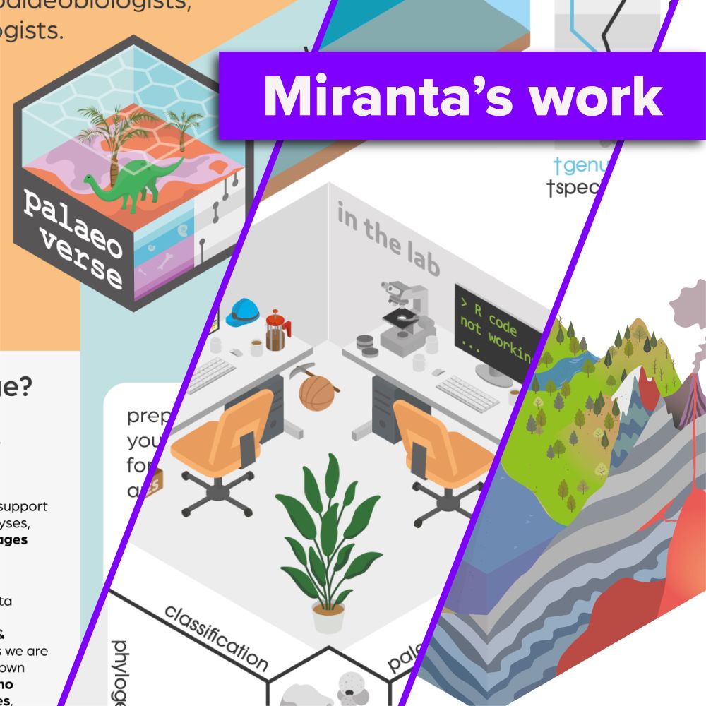 Miranta's work. Three snapshots of fun and colourful scientific figures including the palaeoverse package logo, a 3d cartoon of a lab, and a geological cross-section.