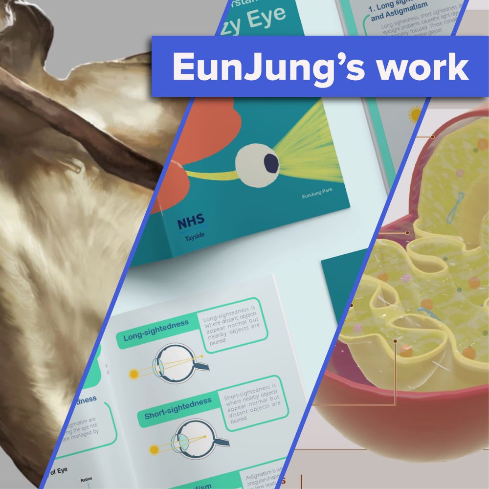 EunJung's work. Three snapshots of fun and colourful scientific figures including the inner working of the eye and the inside of a mitochondria.
