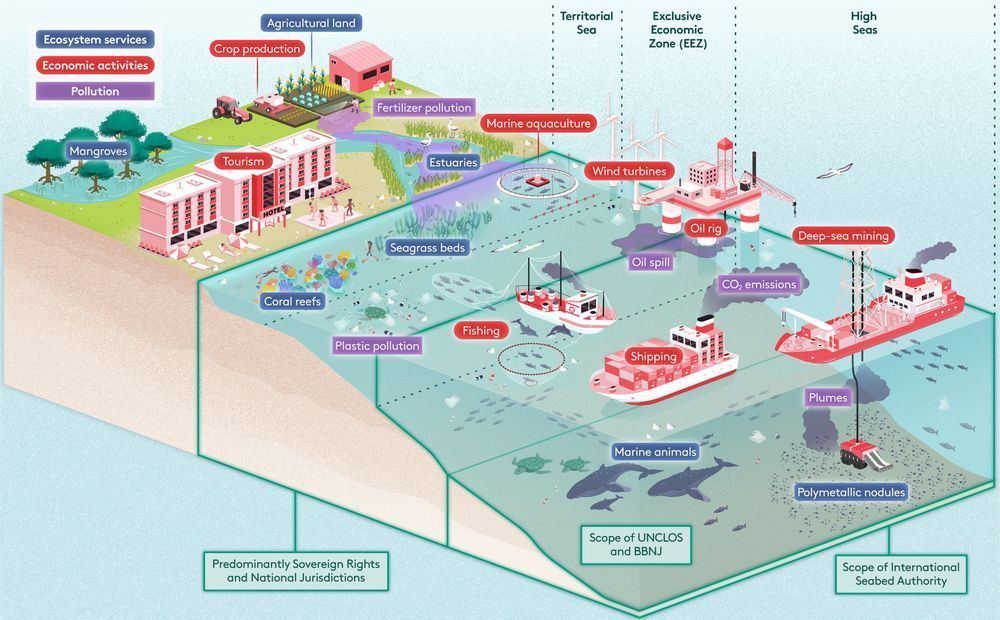 An infographic showing the interactions between the ocean, climate, and economy. It shows a slice of the land and ocean labelled with various economic and polluting impacts and interactions with the ocean.