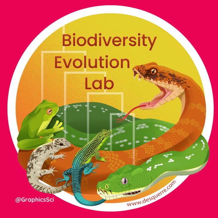 Biodiversity Evolution lab logo featuring a cladogram leading down to illustrations of a frog, gecko, lizard and two snakes all intertwined.