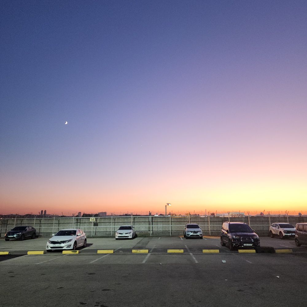 #석양#섹트#섹친