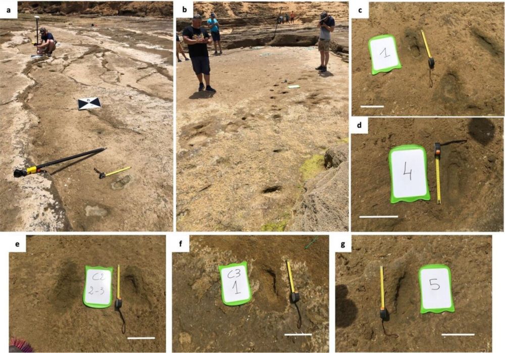 90,000-year-old human footprints found on Moroccan beach