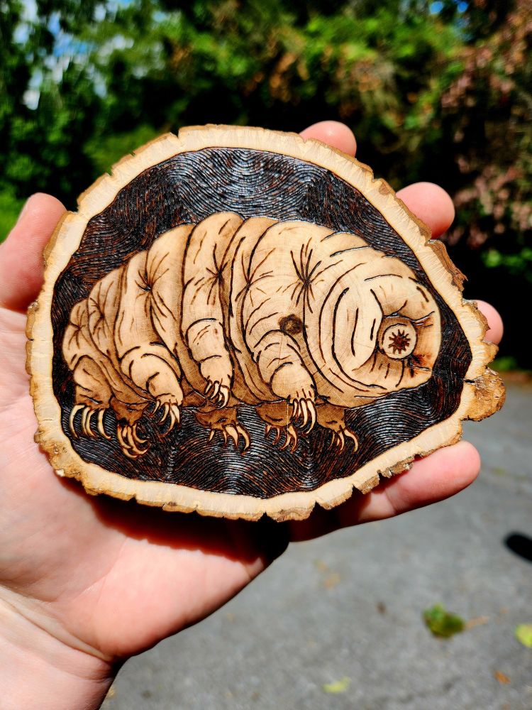 Wood burned art piece.  Portrays a chubby tardigrade, also known as a water bear, a microscopic creature with eight legs and a protuding mouth part. 