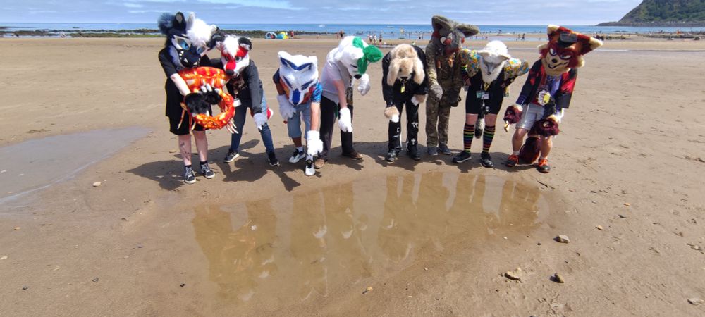 A group of fursuiters admire their reflections in a tidepool