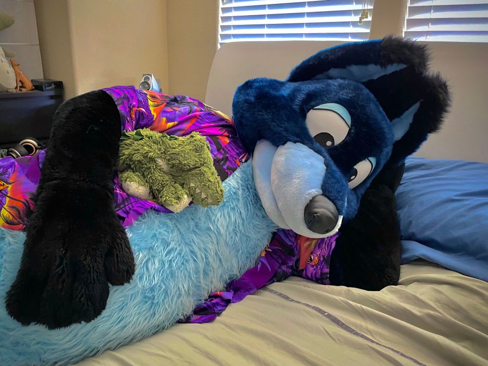 Photo, Blooper Fox lying on a bed leaning on his arm with a vibrant purple button shirt, holding a little gator plush. 