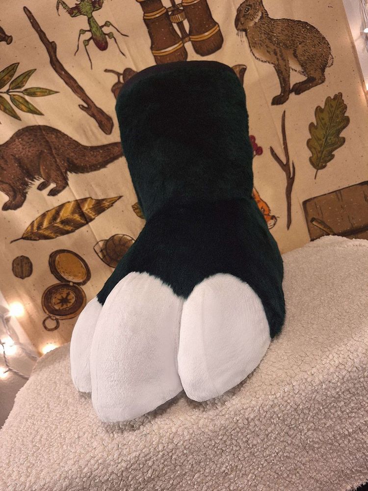 photo of Croc's new big beautiful footpaw