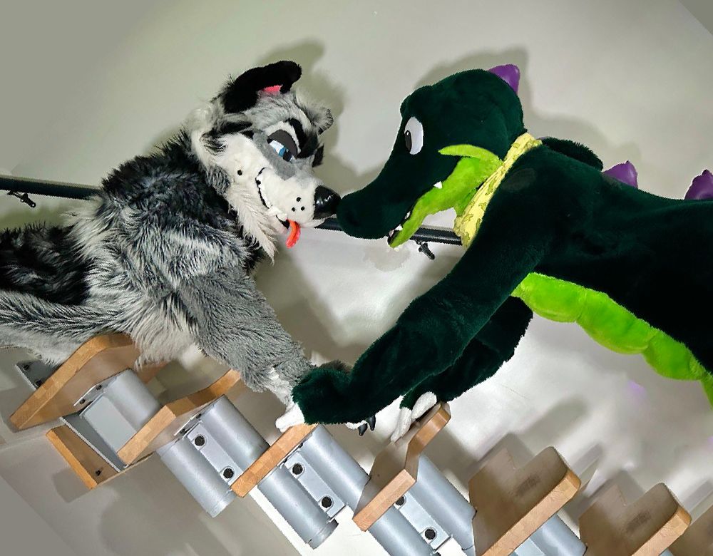 photo, Foster Wolf and Croc touching nose to nose on the famous Boston wooden staircase.