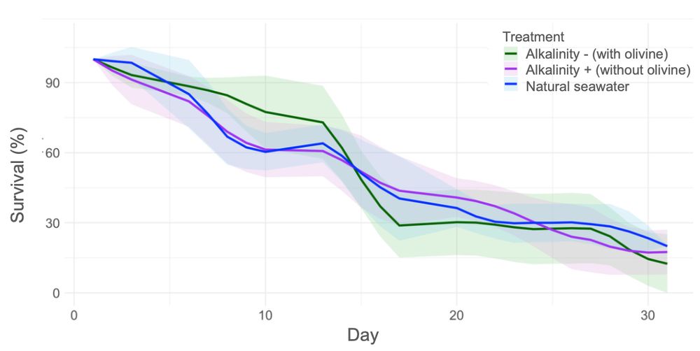 % survival of forams by day in 3 different water treatments. All the graphs kinda look the same. 