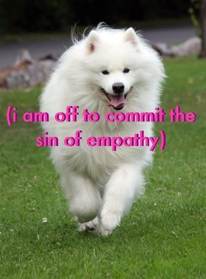 Meme image of a big floofy white dog running across the grass. Pink text reads: (i am off to commit the sin of empathy.)