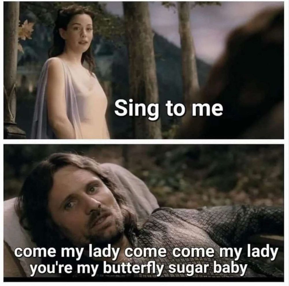 Two panel image from Lord of the RIngs, featuring Arwen in the top frame, saying "Sing to me" and Aragon laying down in the bottom frame, singing "come my lady come come my lady you're my butterfly sugar baby"