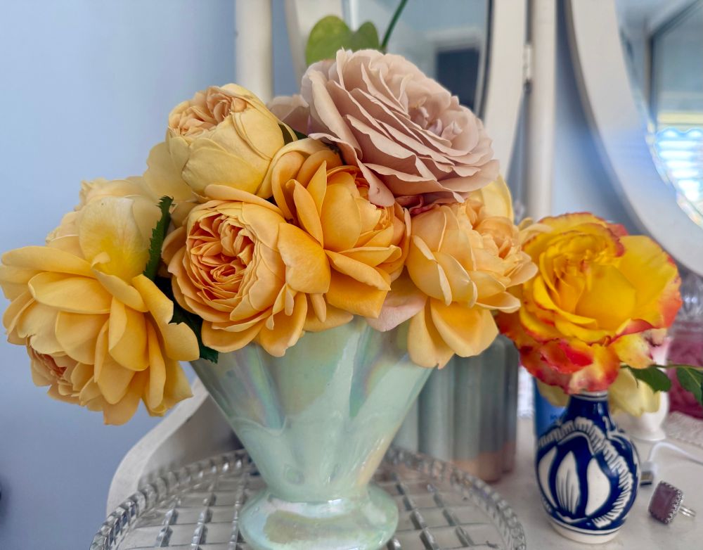 Pale green vase full of mostly large yellow/lemon David Austin roses. 