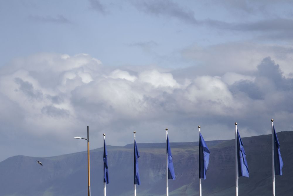 Flags outside of Harpa concert hall, looking east, mountains in the background, a gull soaring.
