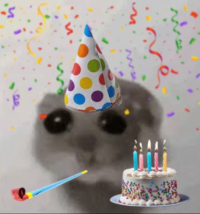 Imagem de um hamster repleto de decorações de aniversário com um bolo ao lado