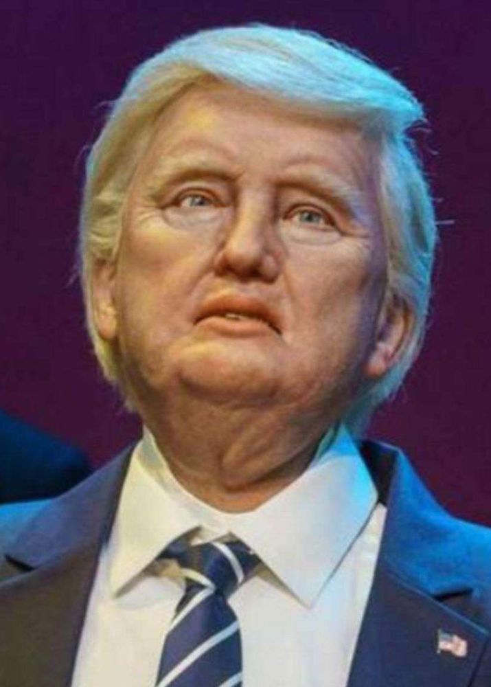 the trump animatronic from disneyland that looks exactly like him lol