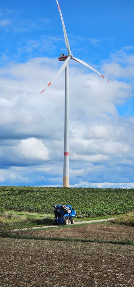 Südpfalz.
Eine Weinlese-Maschine auf dem Weg in ein Weinfeld.
Im Hintergrund eine Windkraftanlage.