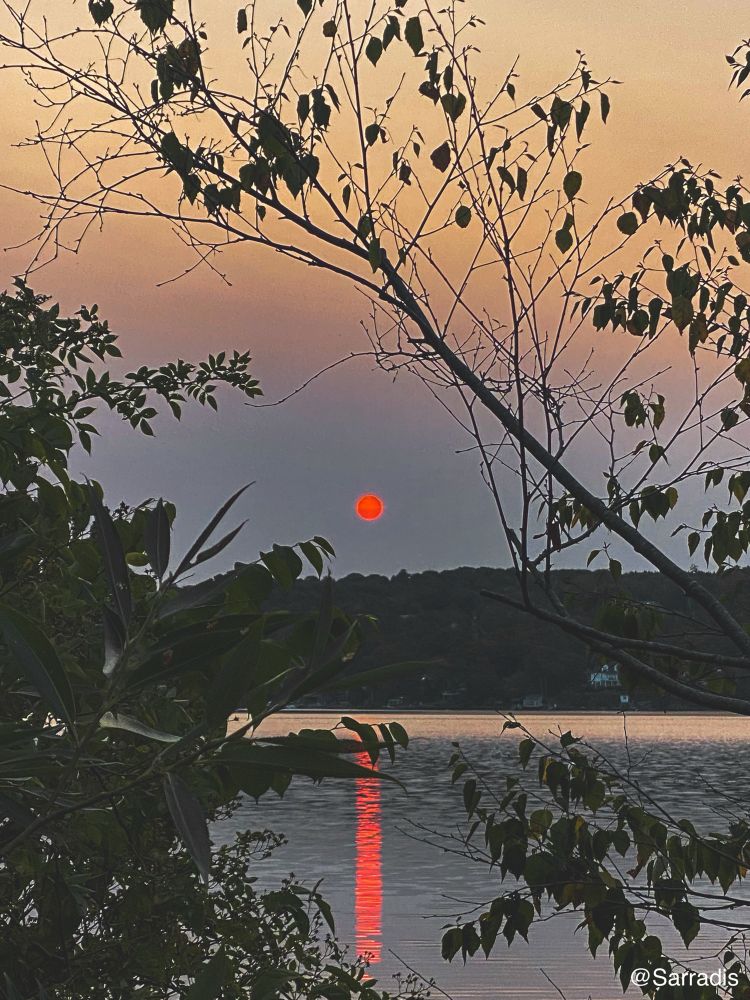 A bright orange sun (caused by wildfires) reflecting on the Bedford basin. 