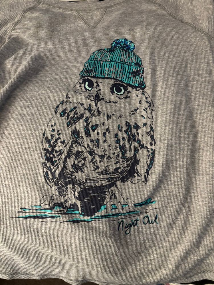 Gray tshirt either white snowy owl wearing a blue beanie with the words “night owl”