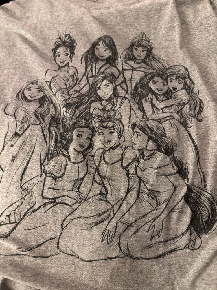 Gray tshirt with line drawings of many Disney princesses sitting together for a photo. In front, left to right: Snow White, Cinderella, Jasmine. Middle row: Rapunzel, Pocahontas, Moana, Ariel. Back row: Tiana, Mulan, Aurora.
