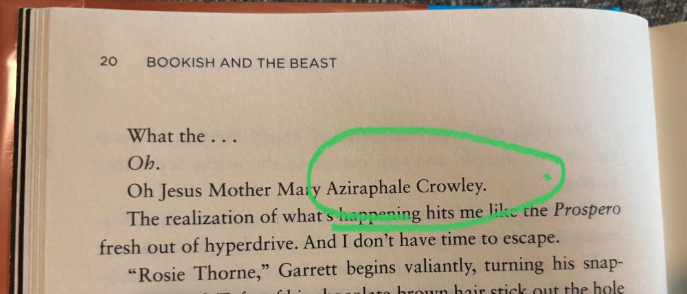 Page 20 of Bookish and the Beast by Ashley Poston

“What the…
Oh.
Oh Jesus Mother Mary Aziraphale Crowley.
The realization of what’s happening hits me like the Próspero fresh out of hyperdrive. And I don’t have time to escape.”