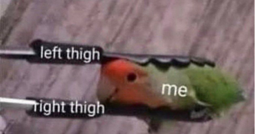 Meme of a set of tongs labeled "left thigh" and "right thigh" holding a small happy looking bird labeled "me"