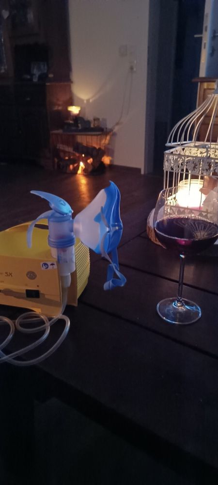 Auf einem Tisch steht ein Glas Rotein und ein Inhalator.

Dahinter ein weißer Dekovogelkäfigmit brennender Kerze und im Hintergrund ein künstlicher Kamin.