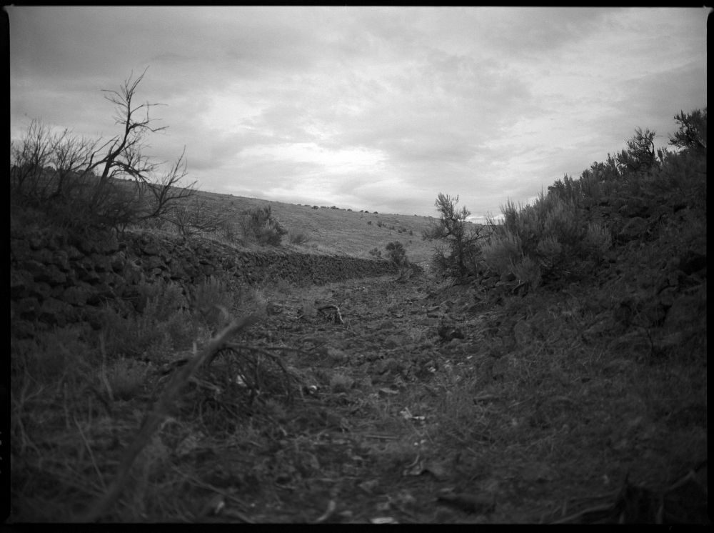 A hazy photo taken inside an old irrigation canal. There is trash and various debris as nature reclaims it. The sky is clouded over. 
