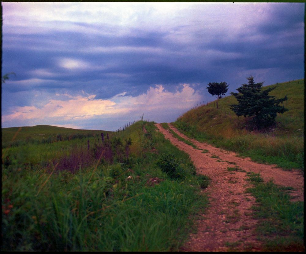 A two-track dirt road ascends a grassy hill. Two small trees are on the right. More hills span off into the distance. The sky is overcast and gloomy. 