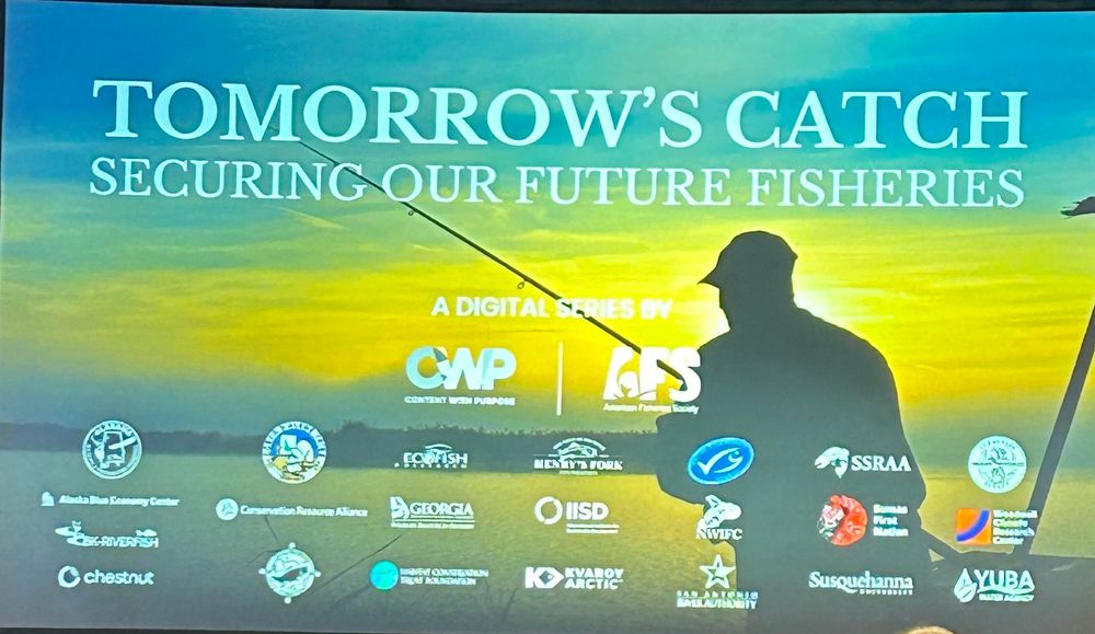 Text: Tomorrows catch: securing our future fisheries. Image: A shadow of an angler against a sunset background. 