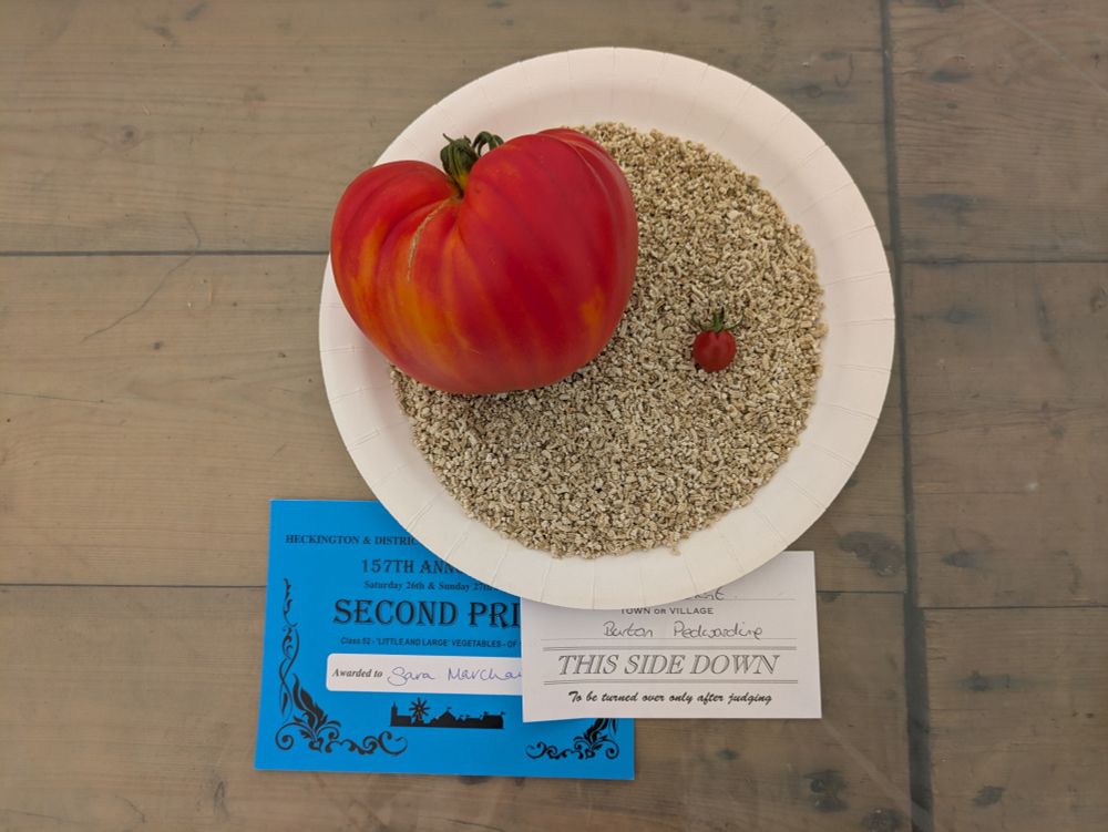 One huge tomato, one that requires zooming in to identify.
