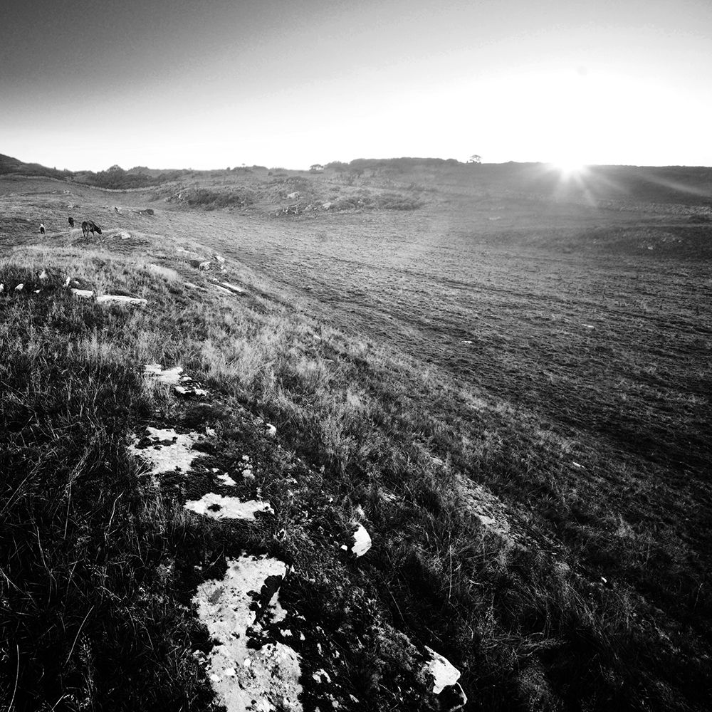 Neolithic rock art panel (mostly obscured by moss) on a grassy mound. The sun rises over a nearby hill.