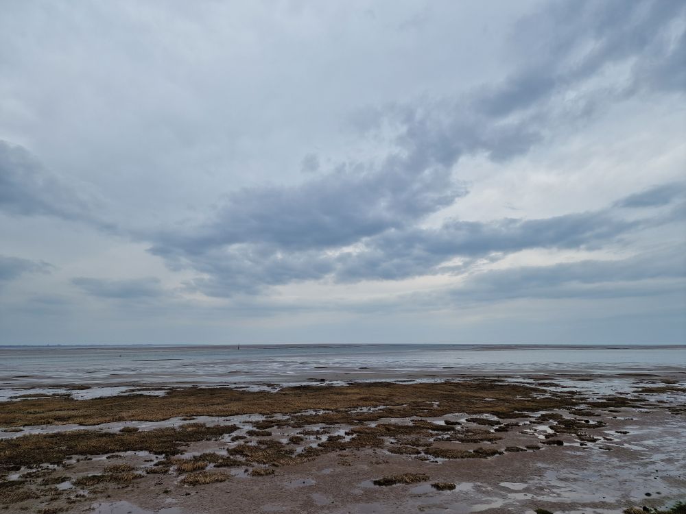 Colour photograph of the ocean from a sandy and rocky beach covered with seaweed and a grey sky overhanging