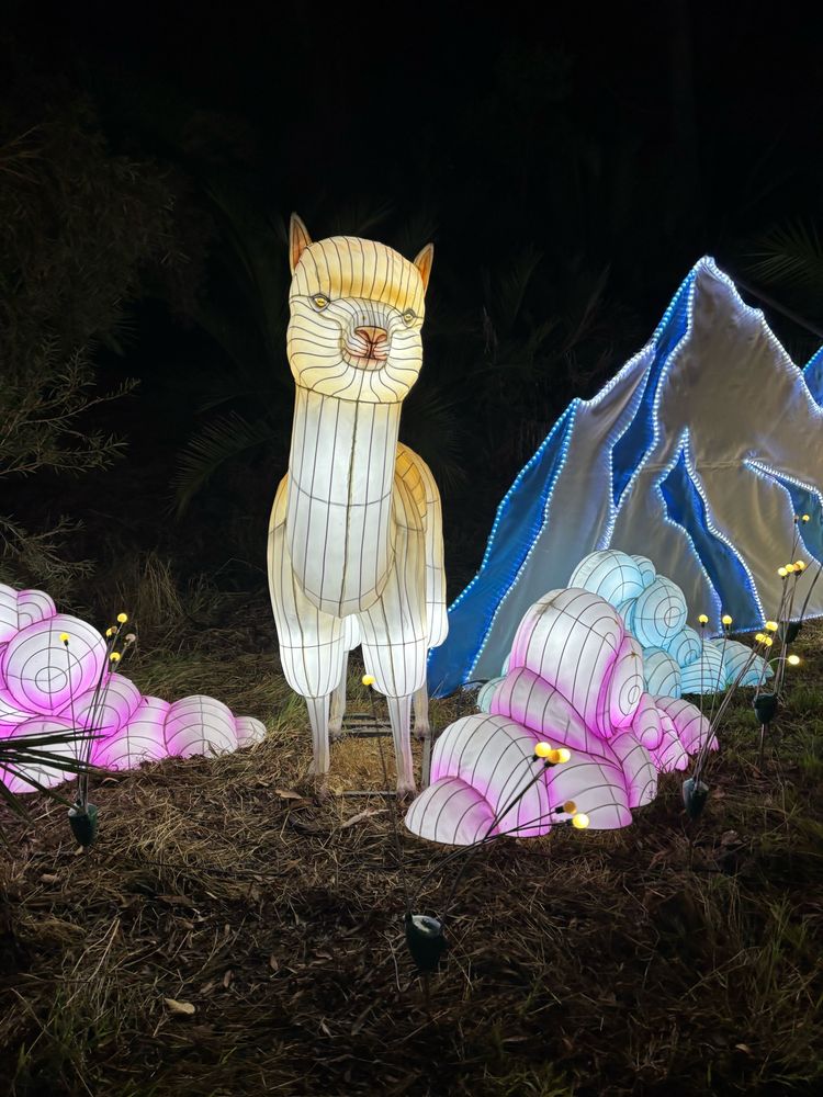 Oakland Zoo Glowfari