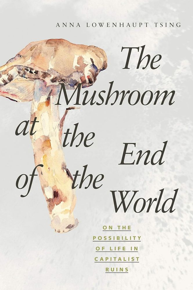 the book cover for The Mushroom at the End of the World: On the Possibility of Life in Capitalist Ruins by Anna Lowenhaupt Tsing, featuring a light grey bg and a brownish watercolor painting of a matsutake mushroom